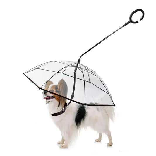 Sombrilla para Perros  |  Dog Umbrella